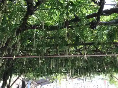 八大白龍大神(岐阜県)