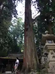 室生龍穴神社の自然