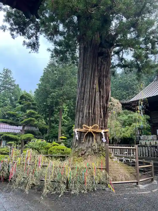 北口本宮冨士浅間神社(山梨県)