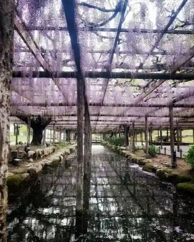 秋葉神社の自然