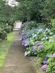 大聖寺（土浦大師不動尊）の建物その他