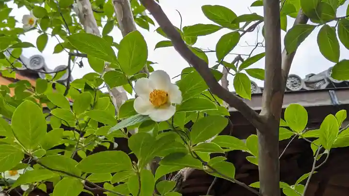 天寧寺(京都府)