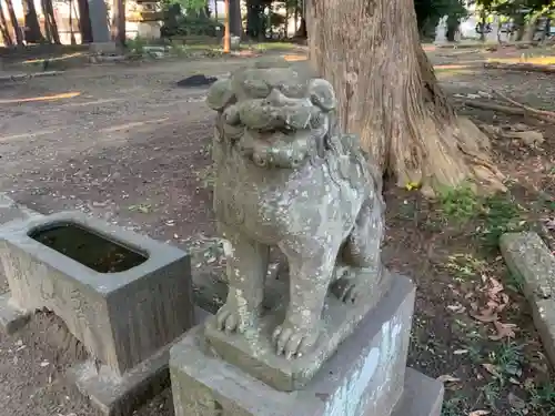三嶋神社の狛犬
