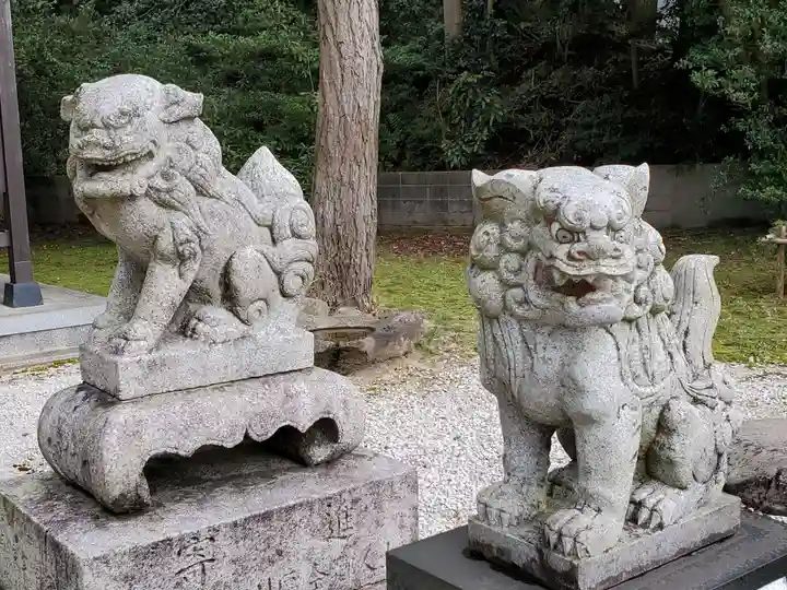 住吉神社の狛犬