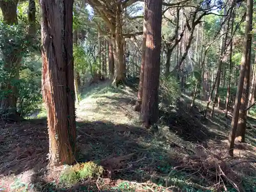 八幡神社(千葉県)