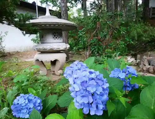 上川神社の自然