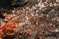 鹿島大神宮の庭園