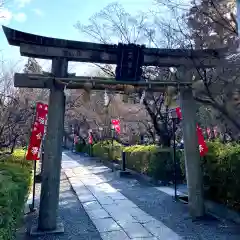 長岡天満宮(京都府)