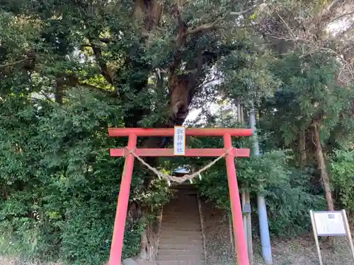 諏訪神社の鳥居