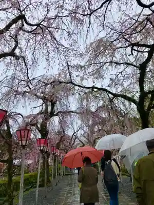 三嶋大社(静岡県)