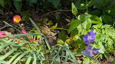 本昌寺(京都府)