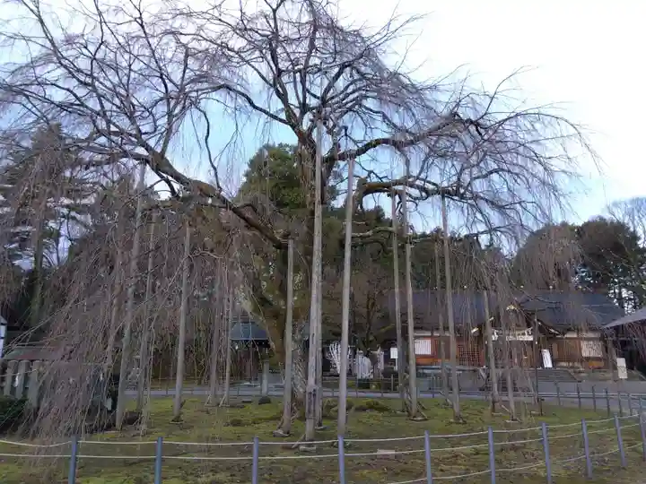 足羽神社(福井県)