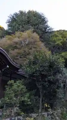 大豊神社(京都府)