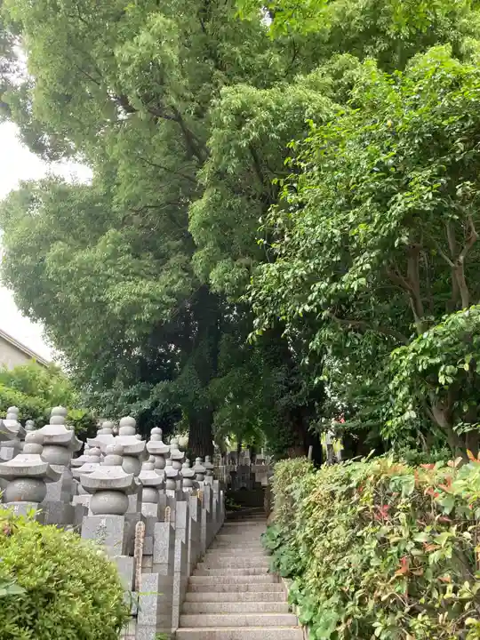 浄土宗 光明山 大蓮寺(照曜会館)(神奈川県)