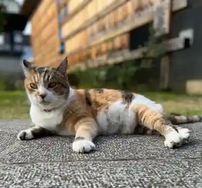 秩父札所十三番 慈眼寺(埼玉県)