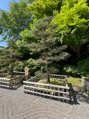 長谷寺(奈良県)