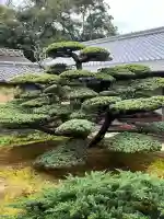 慈光院の{uncategorized: "未分類", other: "その他", undefined: "問題あり", building: "その他建物", grave: "お墓", sacred_gate: "鳥居", guardian: "狛犬", statue: "像", buddha: "仏像", history: "歴史", nature: "自然", garden: "庭園", animal: "動物", pagoda: "塔", temizu: "手水舎", mountain_gate: "山門・神門", sanctuary: "本殿・本堂", subordinate: "末社・摂社", art: "芸術", scenery: "景色", jizo: "地蔵", ema: "絵馬", goshuin: "御朱印", omikuji: "おみくじ", items: "授与品その他", amulet: "お守り", goshuincho: "御朱印帳", eats: "食事", festival: "お祭り", votive_dance: "神楽", shichigosan: "七五三参", wedding: "結婚式", experience: "体験その他", initially: "初詣", around: "周辺", anti_infection: "感染症対策"}