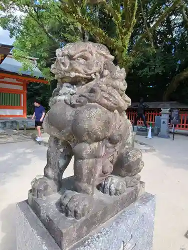 住吉神社の狛犬