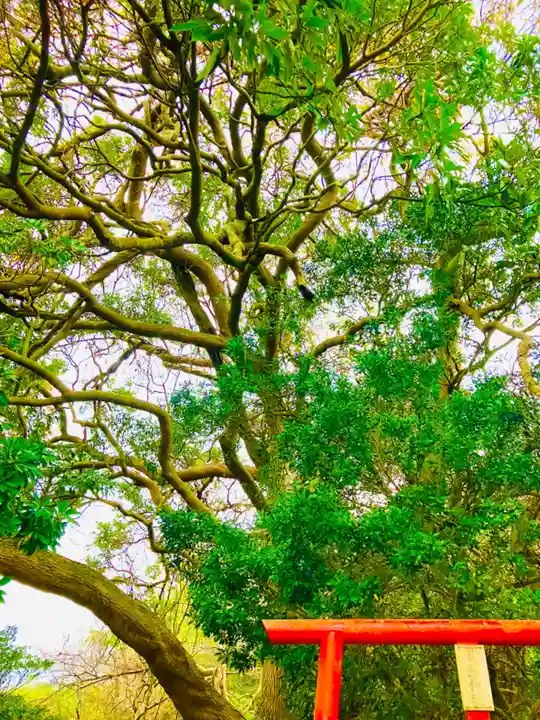 冨士浅間神社(茨城県)