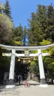 宝登山神社の{uncategorized: "未分類", other: "その他", undefined: "問題あり", building: "その他建物", grave: "お墓", sacred_gate: "鳥居", guardian: "狛犬", statue: "像", buddha: "仏像", history: "歴史", nature: "自然", garden: "庭園", animal: "動物", pagoda: "塔", temizu: "手水舎", mountain_gate: "山門・神門", sanctuary: "本殿・本堂", subordinate: "末社・摂社", art: "芸術", scenery: "景色", jizo: "地蔵", ema: "絵馬", goshuin: "御朱印", omikuji: "おみくじ", items: "授与品その他", amulet: "お守り", goshuincho: "御朱印帳", eats: "食事", festival: "お祭り", votive_dance: "神楽", shichigosan: "七五三参", wedding: "結婚式", experience: "体験その他", initially: "初詣", around: "周辺", anti_infection: "感染症対策"}