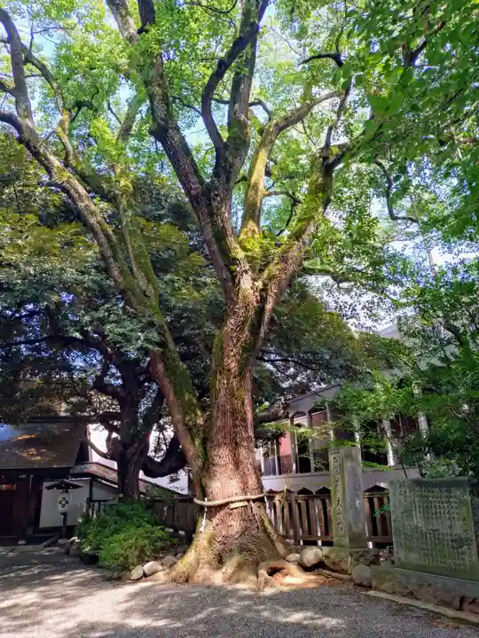 乃木神社(東京都)
