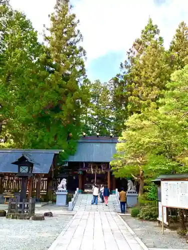 飛騨総社の本殿・本堂