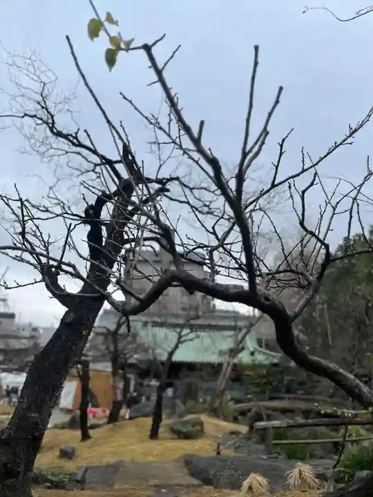 湯島天満宮(東京都)
