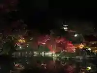 禅林寺(永観堂)の庭園