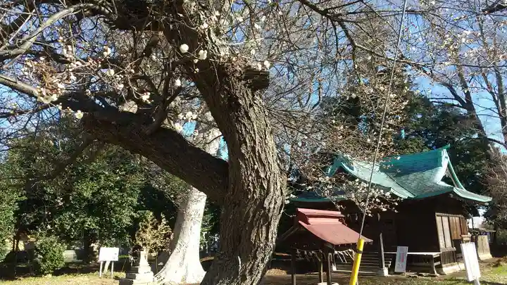 酒門神社の自然