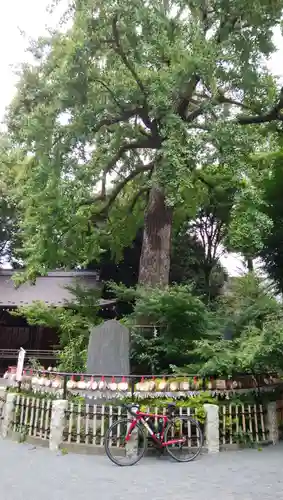七社神社(東京都)