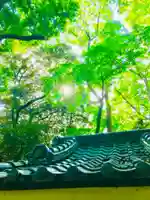 阿夫利神社のその他建物