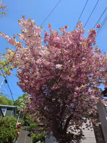 室蘭八幡宮(北海道)