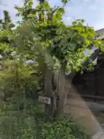 如来寺(兵庫県)