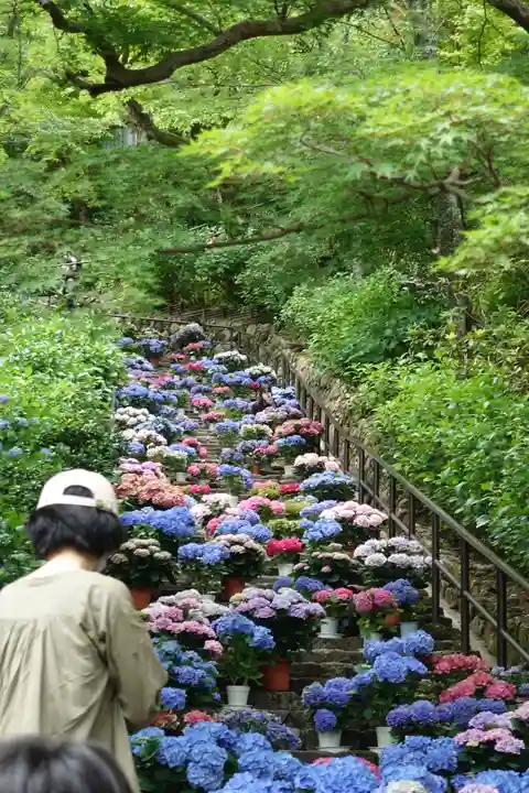長谷寺(奈良県)