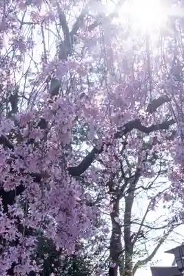水火天満宮(京都府)