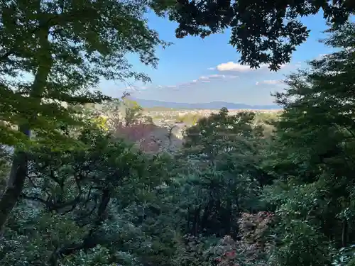 常寂光寺の景色