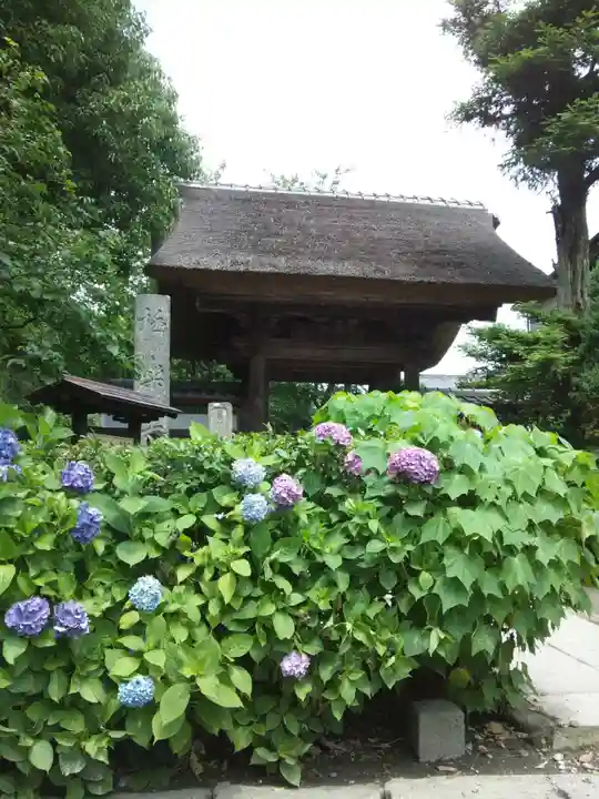 極楽寺(霊鷲山感應院極楽律寺)の本殿・本堂