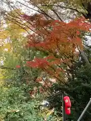 田無神社の自然