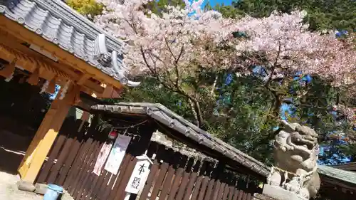 伊豆神社の建物その他