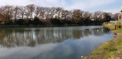 垳稲荷神社(埼玉県)