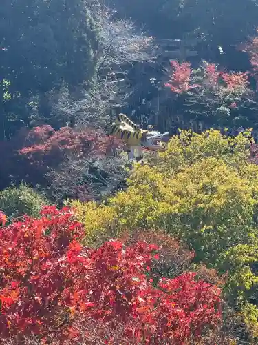 朝護孫子寺(奈良県)