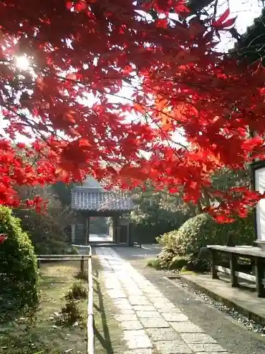 浄光明寺の庭園