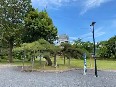 月岡神社の自然