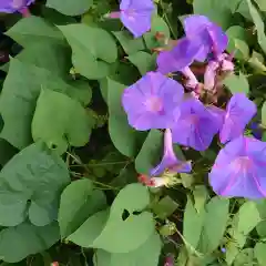 高瀧神社(千葉県)