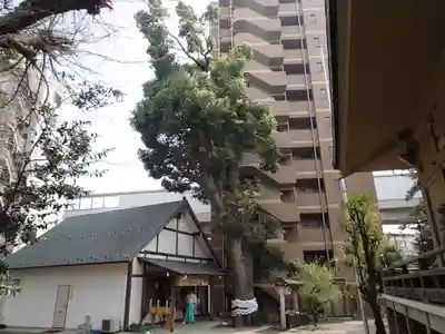 上目黒氷川神社のその他建物