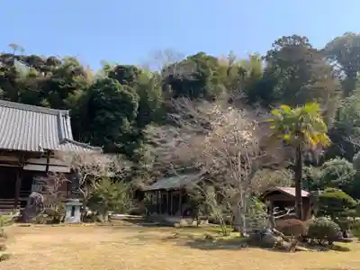 円光寺(千葉県)