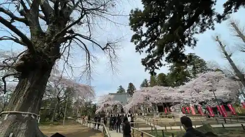 六地蔵寺の庭園