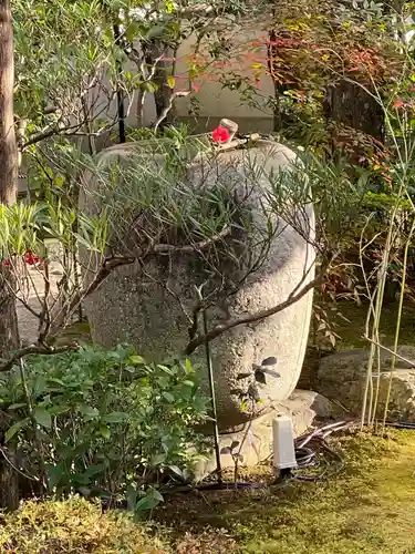 退蔵院(京都府)
