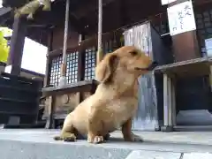 杉杜白髭神社(福井県)