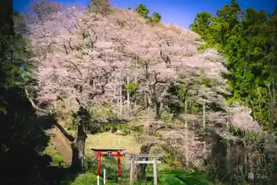 八幡神社(宮城県)